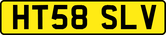 HT58SLV