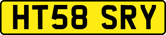 HT58SRY