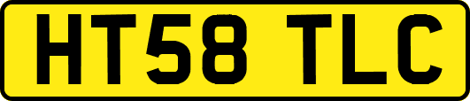 HT58TLC