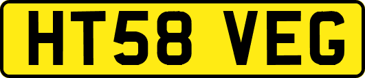 HT58VEG