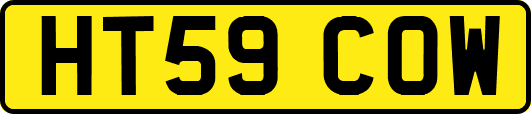 HT59COW