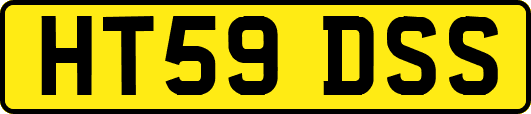 HT59DSS