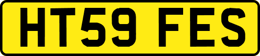 HT59FES