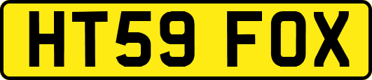 HT59FOX
