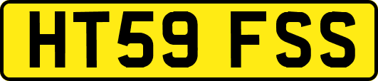 HT59FSS
