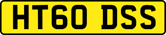 HT60DSS