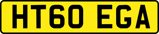 HT60EGA