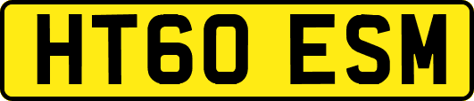 HT60ESM
