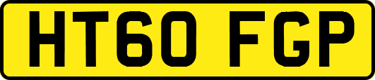 HT60FGP