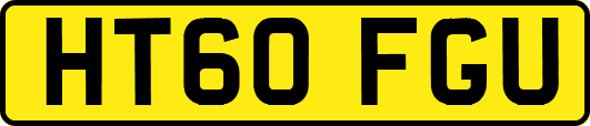 HT60FGU