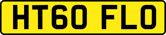 HT60FLO