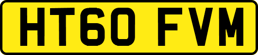 HT60FVM