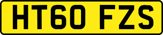 HT60FZS