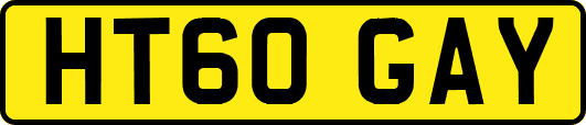 HT60GAY