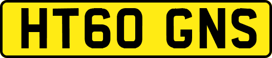HT60GNS