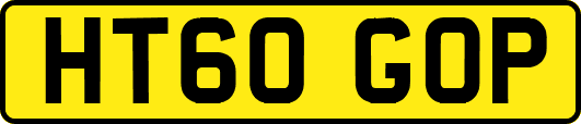 HT60GOP