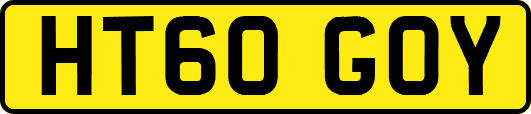 HT60GOY