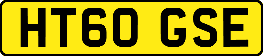 HT60GSE