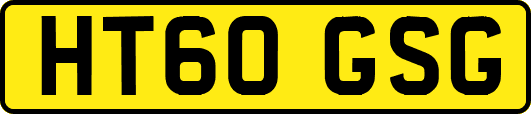 HT60GSG