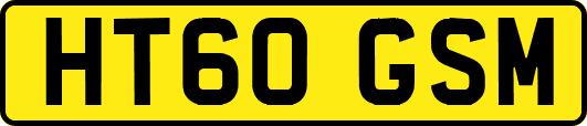 HT60GSM