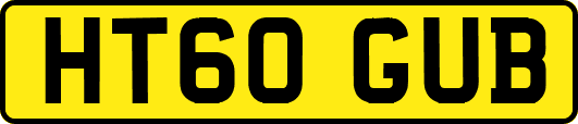 HT60GUB