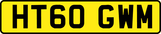 HT60GWM