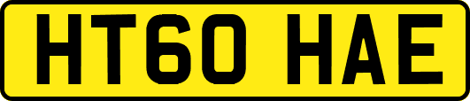 HT60HAE