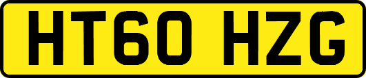 HT60HZG