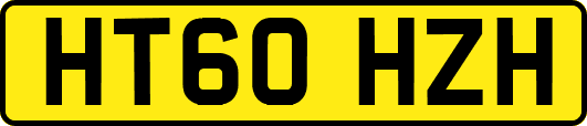 HT60HZH