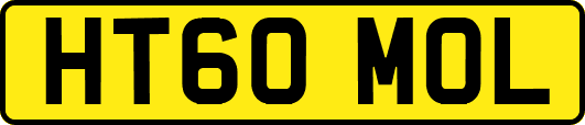 HT60MOL