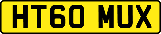 HT60MUX
