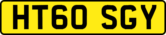 HT60SGY