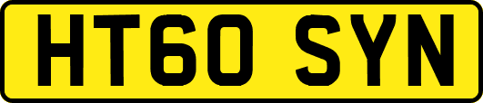HT60SYN