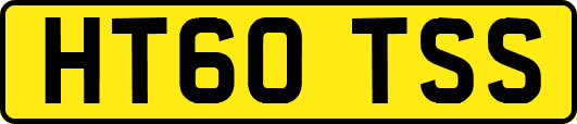 HT60TSS