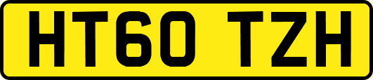 HT60TZH