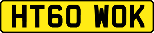 HT60WOK