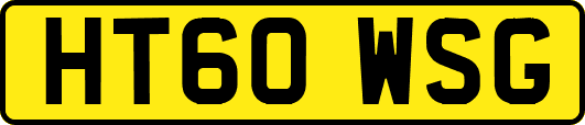 HT60WSG