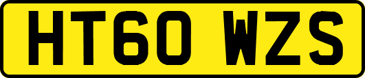 HT60WZS