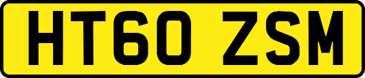 HT60ZSM