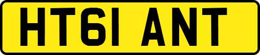 HT61ANT