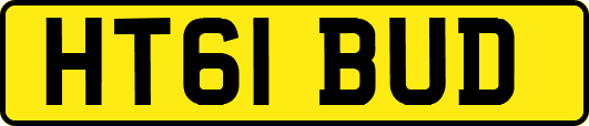 HT61BUD