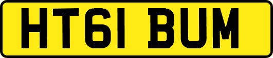 HT61BUM