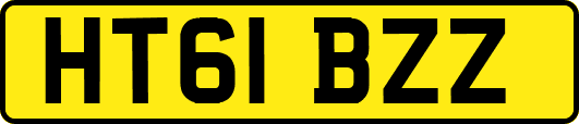 HT61BZZ