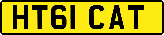 HT61CAT