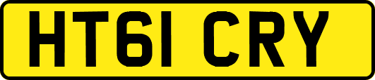 HT61CRY