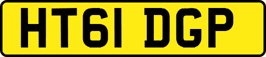 HT61DGP