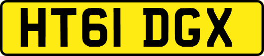 HT61DGX