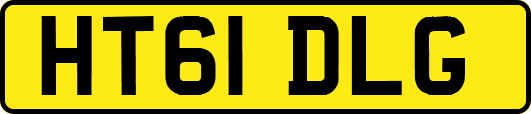 HT61DLG