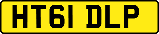 HT61DLP