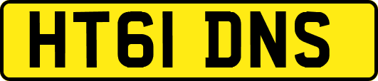 HT61DNS